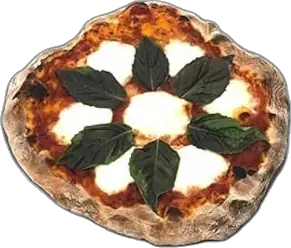 ThermiChef 16" x 16" Pizza Steel